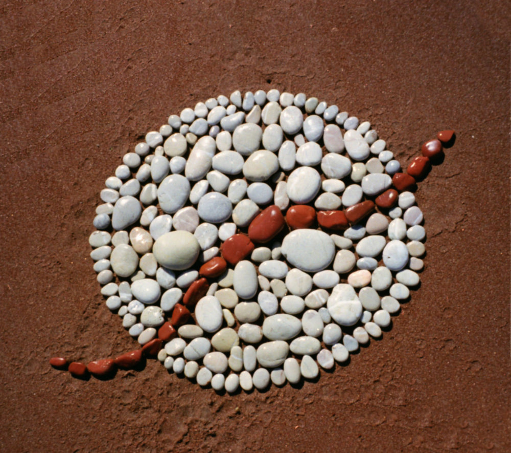 Bild aus weissen und roten Steinen auf rotem Sand
